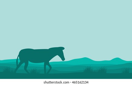 Silhouette of single zebra in hills on green backgrounds