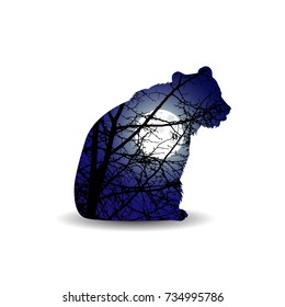 Silhouette of sitting brown bear with spring nature background. Branches of trees without leaves. Night. Moonlight.   