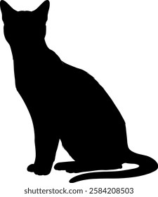 Silhouette of a sitting cat