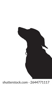 Silhouette of Sitting Dog Looking Up on White Background