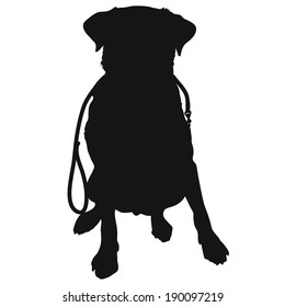 A silhouette of a sitting Labrador Retriever holding a leash in it's mouth and waiting to go for a walk. This could also be a generic short haired dog