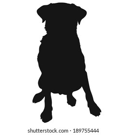 A silhouette of a sitting Labrador Retriever which could also be a generic short haired dog