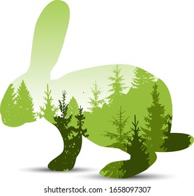  Silhouette of sitting rabbit with double exposure of pine trees.