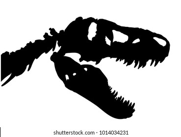 Skeleton Tyrannosaurus Rex Trex Skull Neck Stock Vector (Royalty Free ...