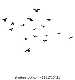 Silhouette sketch of a flock of flying birds, flight in different positions. Hover, soaring, landing, flying, flutter