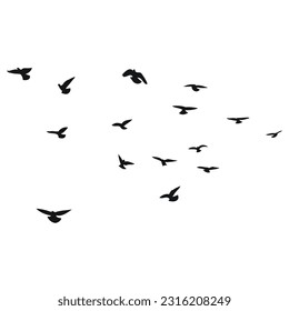 Silhouette sketch of a flock of flying birds, flight in different positions. Hover, soaring, landing, flying, flutter