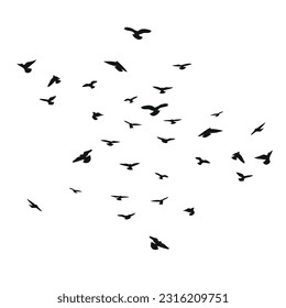 Silhouette sketch of a flock of flying birds, flight in different positions. Takeoff, flying, flight, flutter, hover, soaring, landing 