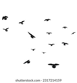 Silhouette sketch of a flock of flying birds, flight in different positions. Hover, soaring, landing, flying, flutter