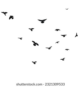 Silhouette sketch of a flock of flying birds, flight in different positions. Hover, soaring, landing, flying, flutter