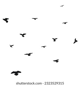 Silhouette sketch of a flock of flying birds, flight in different positions. Hover, soaring, landing, flying, flutter