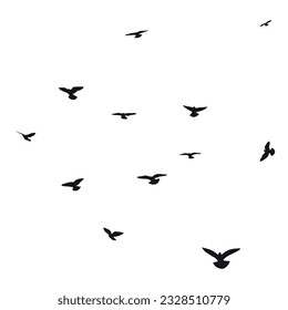 Silhouette sketch of a flock of flying birds, flight in different positions. Hover, soaring, landing, flying, flutter