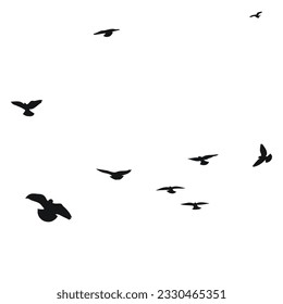 Silhouette sketch of a flock of flying birds, flight in different positions. Hover, soaring, landing, flying, flutter