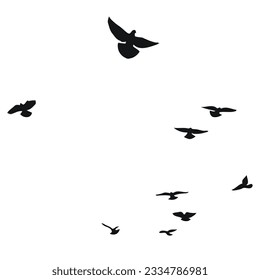 Silhouette sketch of a flock of flying birds, flight in different positions. Hover, soaring, landing, flying, flutter