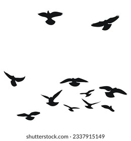 Silhouette sketch of a flock of flying birds, flight in different positions. Hover, soaring, landing, flying, flutter