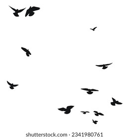 Silhouette sketch of a flock of flying birds, flight in different positions. Hover, soaring, landing, flying, flutter