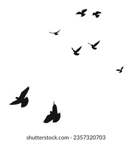 Silhouette sketch of a flock of flying birds, flight in different positions. Hover, soaring, landing, flying, flutter