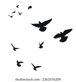 Silhouette sketch of a flock of flying birds, flight in different positions. Hover, soaring, landing, flying, flutter