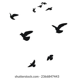 Silhouette sketch of a flock of flying birds, flight in different positions. Hover, soaring, landing, flying, flutter