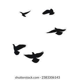 Silhouette sketch of a flock of flying birds, flight in different positions. Hover, soaring, landing, flying, flutter