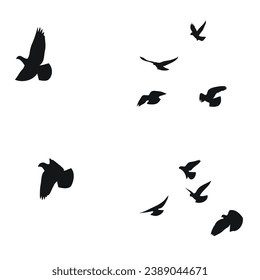 Silhouette sketch of a flock of flying birds, flight in different positions. Hover, soaring, landing, flying, flutter