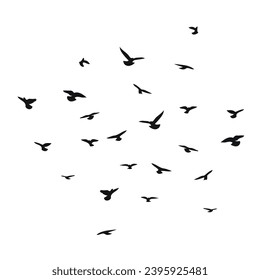 Silhouette sketch of a flock of flying birds, flight in different positions. Takeoff, flying, flight, flutter, hover, soaring, landing 