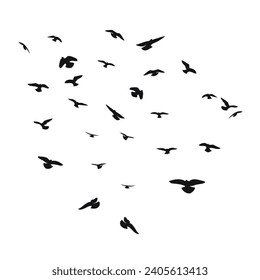 Silhouette sketch of a flock of flying birds, flight in different positions. Takeoff, flying, flight, flutter, hover, soaring, landing 