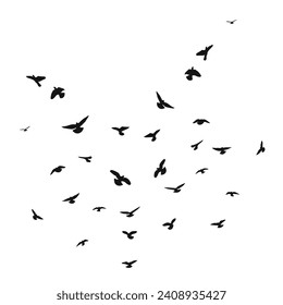 Silhouette sketch of a flock of flying birds, flight in different positions. Takeoff, flying, flight, flutter, hover, soaring, landing 