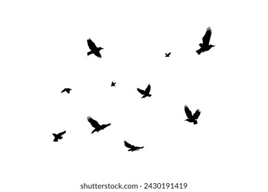 Silhouette sketch of a flock of flying birds, flight in different positions. Hover, soaring, landing, flying, flutter
