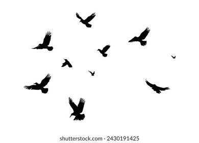 Silhouette sketch of a flock of flying birds, flight in different positions. Hover, soaring, landing, flying, flutter
