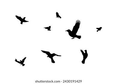 Silhouette sketch of a flock of flying birds, flight in different positions. Hover, soaring, landing, flying, flutter
