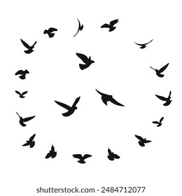 Silhouette sketch of a flock of flying birds, flight in different positions. Takeoff, flying, flight, flutter, hover, soaring, landing 