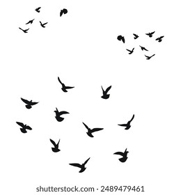 Silhouette sketch of a flock of flying birds, flight in different positions. Takeoff, flying, flight, flutter, hover, soaring, landing 