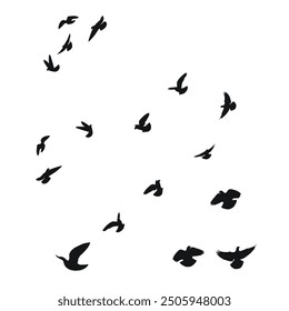 Silhouette sketch of a flock of flying birds, flight in different positions. Takeoff, flying, flight, flutter, hover, soaring, landing 