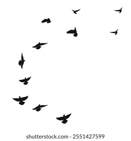 Silhouette sketch of a flock of flying birds, flight in different positions. Takeoff, flying, flight, flutter, hover, soaring, landing 