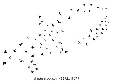 Silhouette sketch of a flock of flying forward birds. Takeoff, flying, flight, flutter, hover, soaring, landing