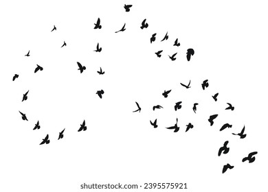 Silhouette sketch of a flock of flying forward birds. Takeoff, flying, flight, flutter, hover, soaring, landing