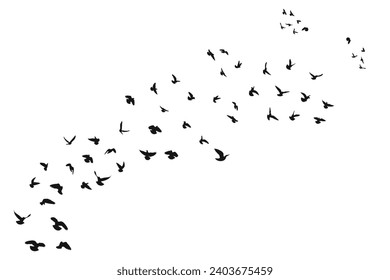 Silhouette sketch of a flock of flying forward birds. Takeoff, flying, flight, flutter, hover, soaring, landing