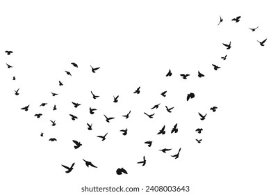 Silhouette sketch of a flock of flying forward birds. Takeoff, flying, flight, flutter, hover, soaring, landing