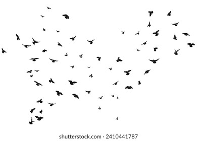 Silhouette sketch of a flock of flying forward birds. Takeoff, flying, flight, flutter, hover, soaring, landing