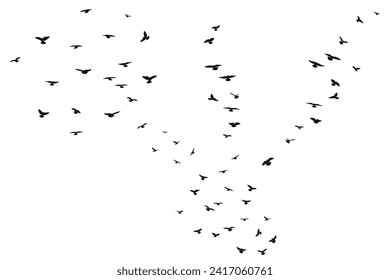 Silhouette sketch of a flock of flying forward birds. Takeoff, flying, flight, flutter, hover, soaring, landing