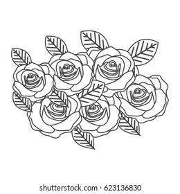 silhouette sketch roses bouquet decorative design vector illustration