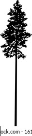 Silhouette Of Skinny Pine Tree. Hand Made.