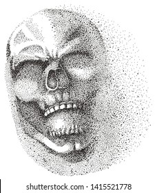 Silhouette des Schädelpunktes. Dotted Skull, 3D-Halbton-Punkteeffekt. Schwarze Punkte auf Grau werden gemahlen.