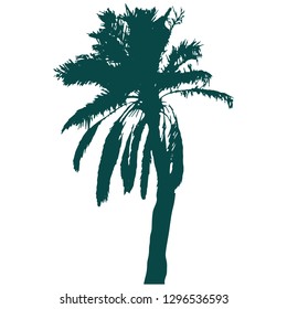 Silhouette of a slanted palm tree. Palm trees by the sea. Palm leaf Green silhouette on white. Vector illustration. Resort. Isolated background.