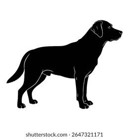 Silhouette of a sleek black Labrador retriever dog in side profile, a beloved domestic animal. The dog's features are clearly defined, showing its elegant posture