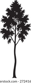 Silhueta de uma árvore decídua esbelta
Uma silhueta preta limpa e minimalista de uma árvore alta e estreita com um tronco curvo e delicados aglomerados de folhas, isolada em um fundo branco para uso de design versátil.