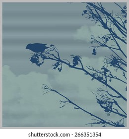 silhouette of the small bird on a branch of a mountain ash and clouds. vector illustration.