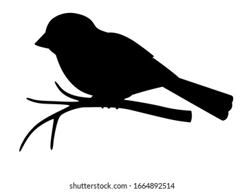 Silhouette of a small bird - sparrow sitting on a branch - stock vector illustration for logo or pictogram. A bird on a branch is a sign for your logo.