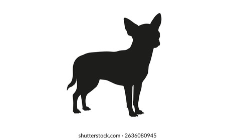 Silhouette of a small Chihuahua dog standing