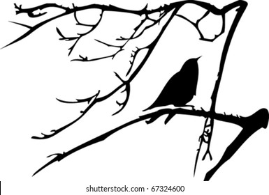 silhouette  of small sitting on tree branch